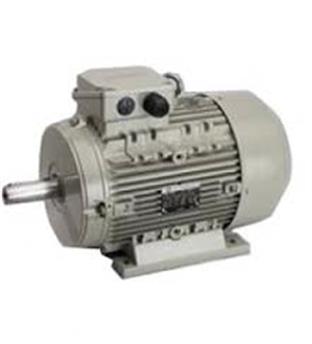 الکتروموتور الکتروژن